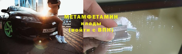 прущие грибы Пестово