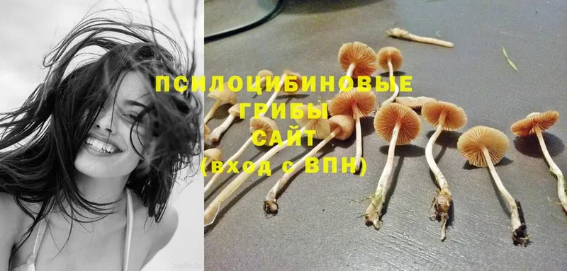 Псилоцибиновые грибы Magic Shrooms  Переславль-Залесский 