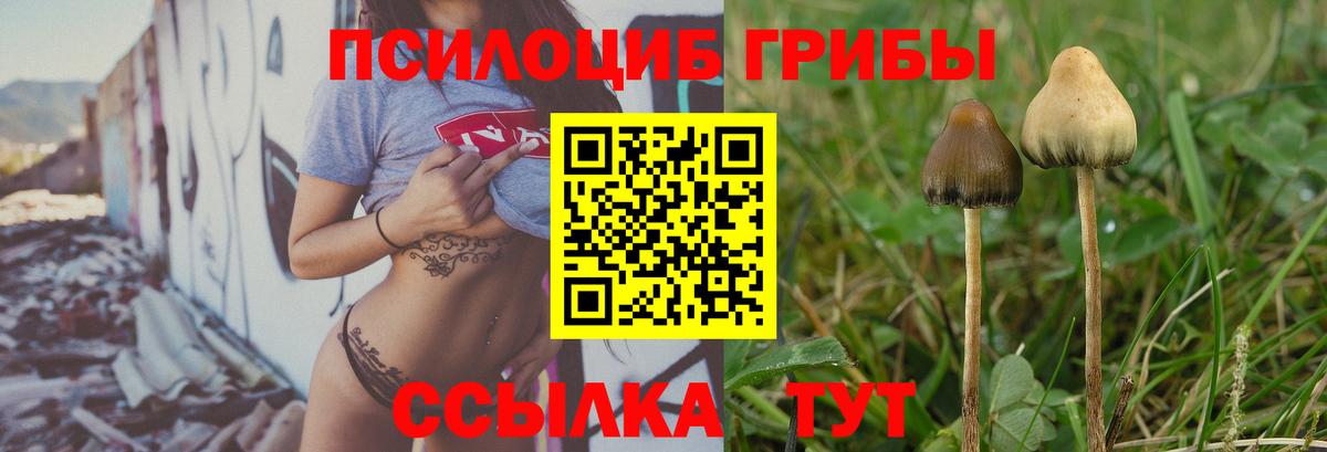 Галлюциногенные грибы мухоморы Переславль-Залесский